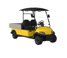 Xe golf mini điện 2 chỗ LQFS020B