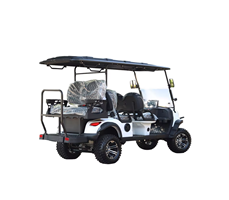 Xe golf chạy điện 48V lithium LQD041+2  