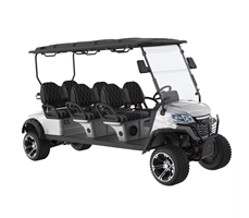 Xe điện chơi golf 6 chỗ ngồi động cơ AC 48V 5kW LQD061  