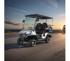 Xe golf điện 2 chỗ LQS021+2  