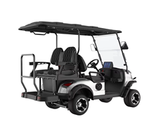 Xe điện chơi golf 4 chỗ ngồi, động cơ AC 48V/72V 5KW LQS021+2  