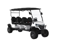 Xe điện chơi golf 6 chỗ ngồi động cơ AC 5kw 48v LQD061  