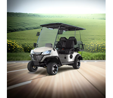 Xe điện chơi golf 4 chỗ ngồi động cơ AC 48V/72V LQS021+2  