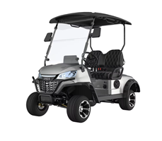 Xe điện chơi golf 2 chỗ ngồi LGS021  
