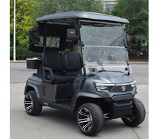 Xe golf 2 chỗ ngồi E2 màu xám 