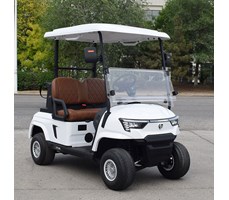 Xe golf 2 chỗ ngồi E2 màu trắng 
