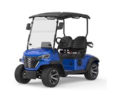 Xe điện sân Golf 2 chỗ CNT G2