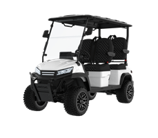 Xe điện chơi golf LQD045A 