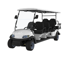 Xe điện chơi golf LQS060A+2  