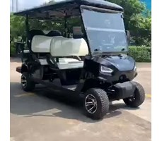 Xe điện chơi golf LQY061A  