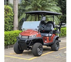 Xe điện chơi golf LQD022A+2  