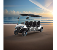 Xe điện chơi golf LQS061  
