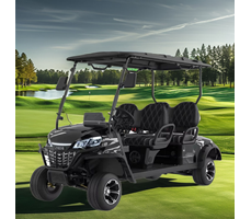 Xe điện chơi golf LGS041  