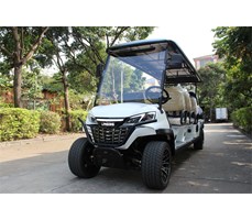 Xe điện chơi golf LQS061+2  