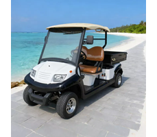 Xe Điện Chở Hàng Eagle EG204AHCX