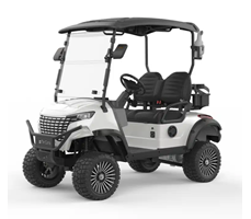 Xe điện địa hình 4 bánh ETC-GH2