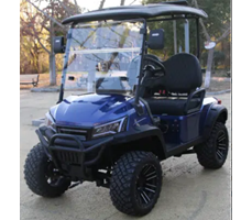 Xe điện sân golf ETC-PCH2
