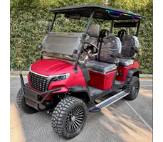 Xe điện sân golf ETC-PH4