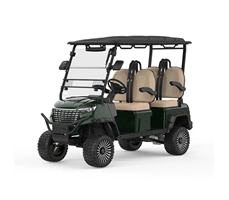 Xe điện sân golf ETC-PH4