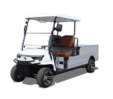 Xe tải điện 0,5 tấn EH 05