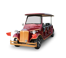 Xe hơi cổ 8 chỗ ngồi GD8-Y8