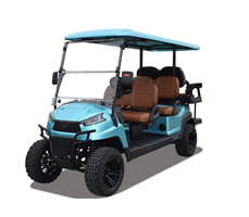 Xe golf đa dụng 6 chỗ R4C