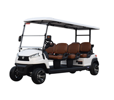 Xe golf đa dụng 6 chỗ ngồi R6
