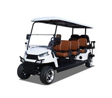 Xe golf chạy điện 8 chỗ R6C