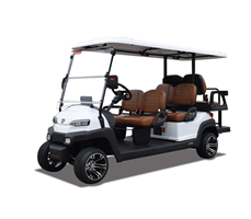 Xe golf đa dụng 6 chỗ Z4C 