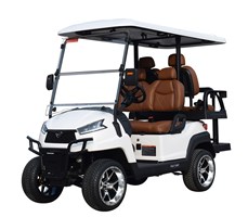 Xe golf đa dụng 4 chỗ ngồi R2C màu trắng 