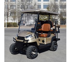 Xe golf đa dụng 4 chỗ ngồi R2C màu vàng 