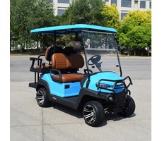 Xe golf đa dụng 4 chỗ ngồi Z2C màu xanh lam 