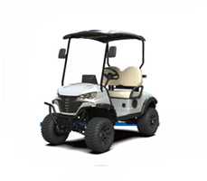 Xe điện chơi golf G-H2