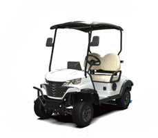 Xe điện chơi golf G-C2
