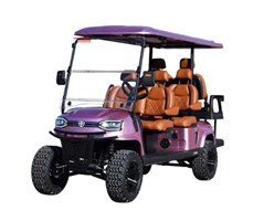 Xe golf 6 chỗ ngồi K4C màu hồng, hàng mới về 