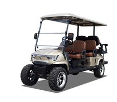 Xe golf đa dụng 6 chỗ ngồi E4C màu vàng 