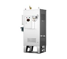 Máy tạo hơi nước dạng đứng CHINENG CN-DC-LH-R-100Y