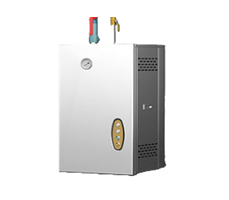 Máy tạo hơi nước treo tường CHINENG CN-B-DZQ-24