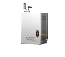 Máy tạo hơi nước treo tường CHINENG CN-DC-B-RZQ-50T