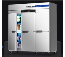 Tủ đông dạng đứng (làm mát tĩnh/làm mát bằng không khí) CHINENG CN-8124-FLLC-6M  