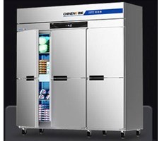 Tủ đông dạng đứng (làm mát tĩnh/làm mát bằng không khí) CHINENG CN-8124-FLSW-6M-4C2D  