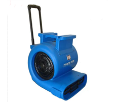 Máy sấy thảm TYPHOON ST810