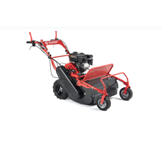 Máy cắt cỏ Bluebird FM 600