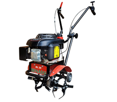 Máy xới đất chạy xăng Benassi BL 20