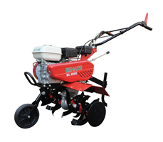 Máy xới đất chạy xăng Benassi BL 6000
