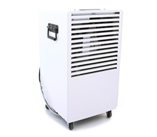 Máy hút ẩm Fral FD33ECO 
