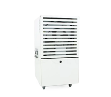 Máy hút ẩm Fral FDNF33 