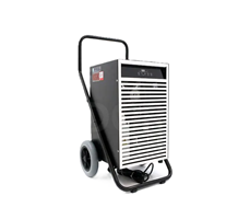 Máy hút ẩm Fral FAEP50 R290 