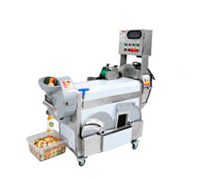 Máy thái rau củ quả đa năng OKASU MG-607