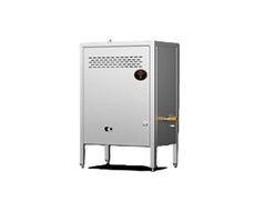 Máy tạo hơi nước gas treo tường CHINENG CN-DC-B-RZQ-100T / CN-DC-B-RZQ-100Y